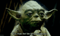 Yoda 4566.gif