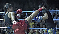 Kick boxing5545.jpg