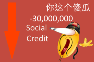 Desastre social credit.png